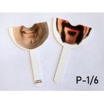 Double-Sided Face Prop Double-Sided Face Prop